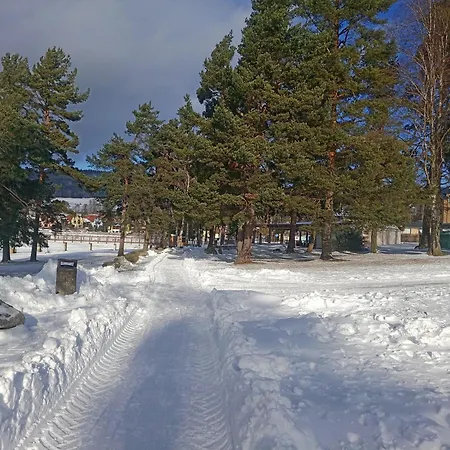 Lipno 502 伏尔塔瓦河畔利普诺