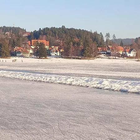 Lipno 502 公寓 *