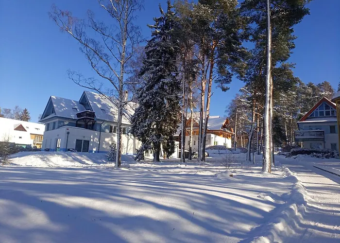 Lipno 502