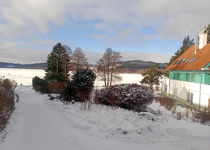 Apartment Lipno 502 *