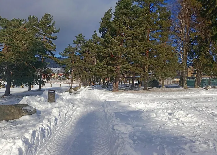 Lipno 502 リプノ・ナト・ヴルタヴォウ
