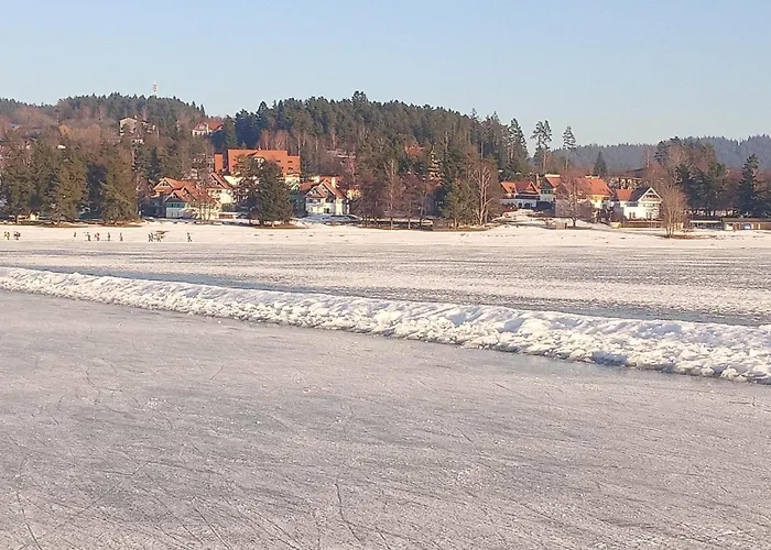 Lipno 502 アパート *